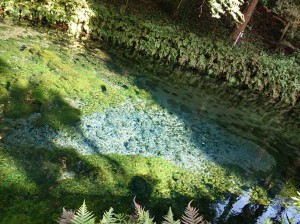 白川水源